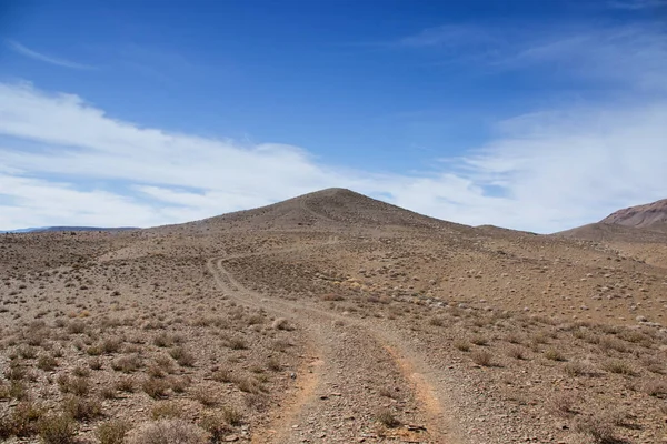 ground track leading through Northern Cape desert, Southern Africa