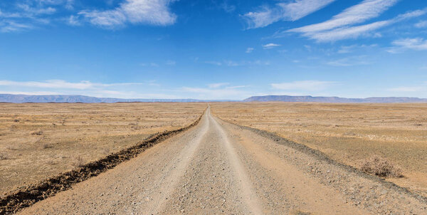 dirty track stretching to horizon in Northern Cape, South Africa