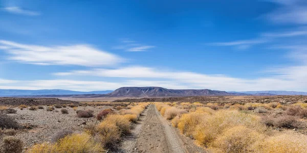 Northern Cape Çöl Güney Afrika Ile Önde Gelen Yere Parça — Stok fotoğraf