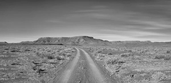 Foto Monocromatica Pista Sporca Che Estende All Orizzonte Nella Savana — Foto Stock