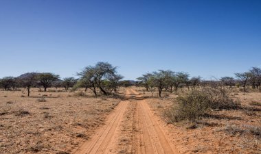 Güney Afrika savana vahşi aracılığıyla germe kırmızı kum parça