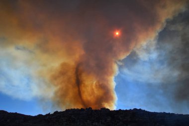 Güney Afrika'da Cape Yarımadası'nda kuru fynbos aracılığıyla kopyalama orman yangını