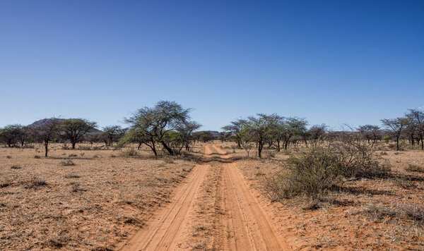 red sand track stretching through wilderness in Southern African savanna