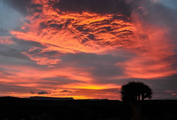 Драматический Зимний Восход Солнца Кару Южная Африка — стоковое фото