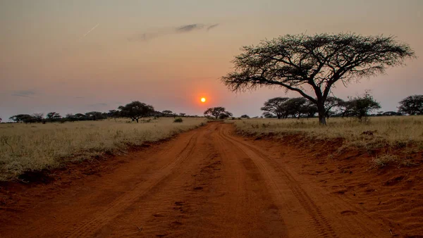 Peyzaj ve gündoğumu Northern Cape, Güney Afrika