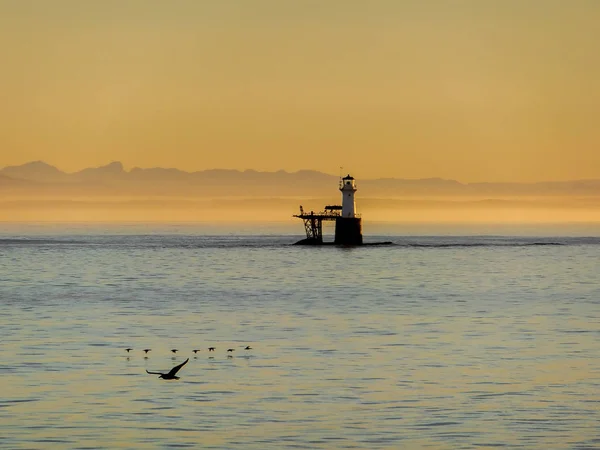 Oiseaux Volant Dessus Eau Près Phare Roman Rock Lever Soleil — Photo