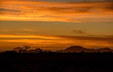 Savana Namibya üzerinden günbatımı