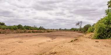 Kuru nehir yatağı Limpopo, Güney Afrika