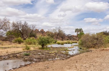 riverbed with low water in Limpopo province, South Africa clipart