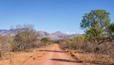 Güney Afrika kuzeyinde manzara
