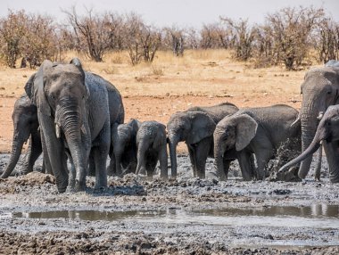 Filler iyi bir çamur banyosu Namibya, doğal görünümünü 