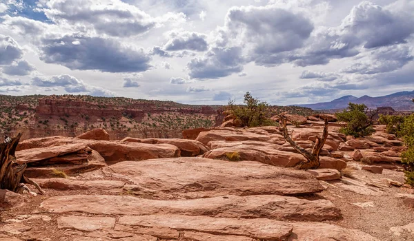 Landschaft Capitol Reef Nationalpark Utah Usa — Stockfoto