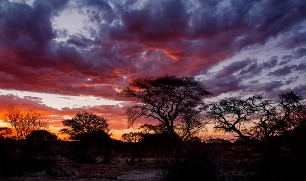 Dramatický Západ Slunce Jižní Africké Savany — Stock fotografie