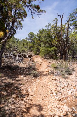 Grand Canyon Yürüyüş Parkuru