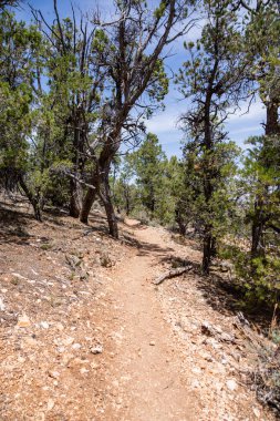 Grand Canyon Yürüyüş Parkuru