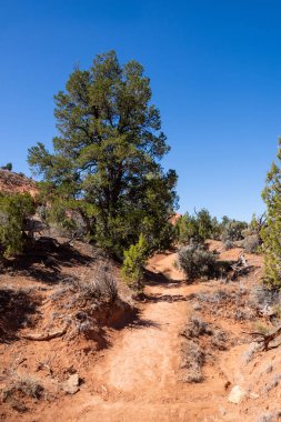 Kodachrome havza Devlet Parkı