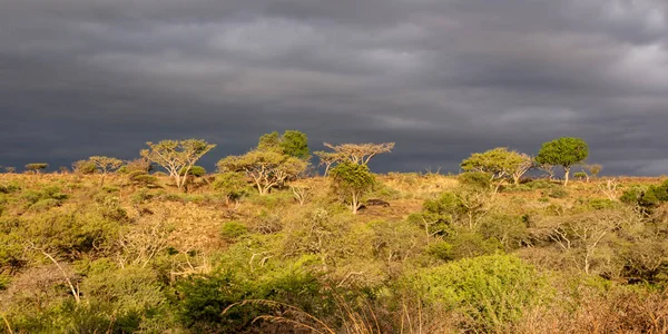 Bouřkové nebe v KwaZulu-Natal — Stock fotografie