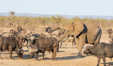 Meşgul sulama delik