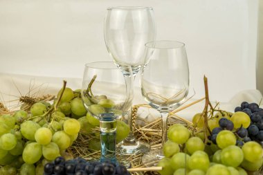 şarap gözlük ile üzüm demet