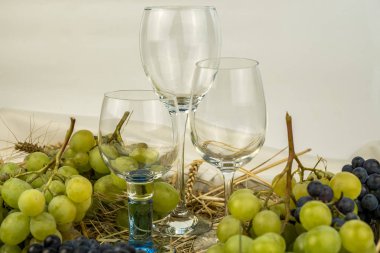 şarap gözlük ile üzüm demet