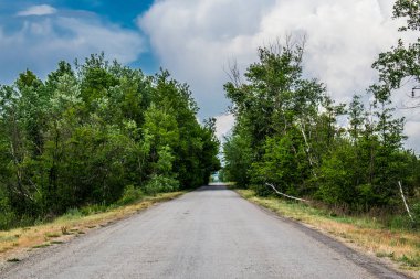 Road, peyzaj bir yol. Yaz ve bahar, yeşil doğa ile bitki örtüsü. Yol bekliyor. Yolculuğun başlangıcı. Sıcak sezon.