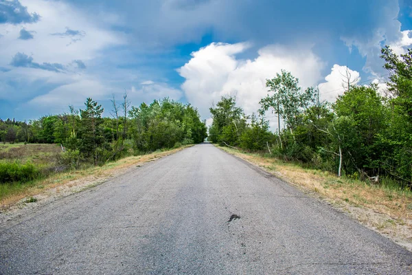 Road, a path in the landscape. Summer and spring, green nature with vegetation. Awaiting the way. The beginning of the journey. Warm season.