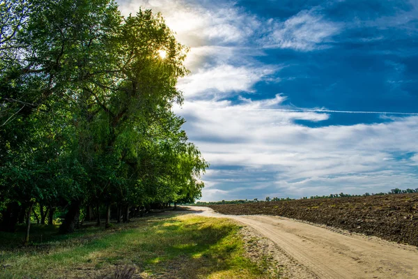 Straße Ein Pfad Der Landschaft Sommer Und Frühling Grüne Natur — Stockfoto