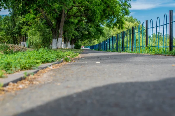 Gray Paved Path Metal Fence Edge Other Hand Green Trees — Stock Photo, Image