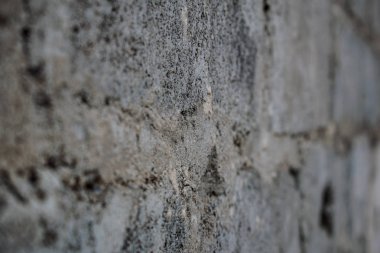 Sunumlar, tasarım ve başlıkları için arka plan renkleri çeşitli. Basit ve doğal. Dokulu görüntü. Doğal desen.