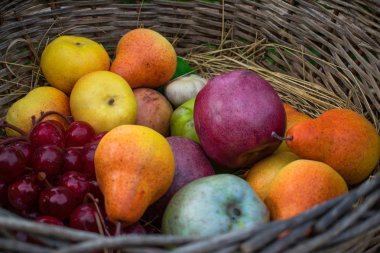 Taze yaz sulu meyve. Elma, armut ve üzüm asma dan yapılan bir hasır sepet içinde renkli ev hasat. Bütün bir yığın sokakta açık havada açık havada tek bir yerde