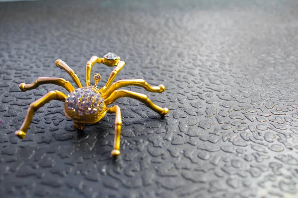 Λαμπρή Κοσμήματα Μορφή Κομψό Μεταλλικό Αράχνες — Φωτογραφία Αρχείου