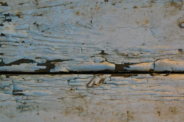 Verscheidenheid Van Achtergrondkleuren Voor Presentaties Design Koppen Eenvoudige Natuurlijke Getextureerde — Stockfoto