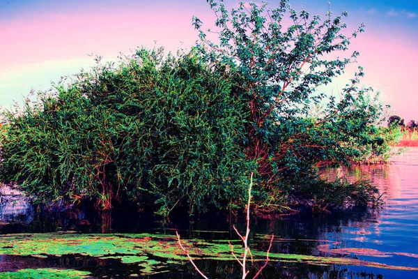 Lindas Paisagens Rússia Região Rostov Lugares Coloridos Vegetação Verde Rios — Fotografia de Stock