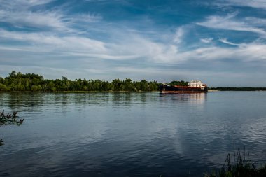 Sunumlar, tasarım ve başlıkları için arka plan renkleri çeşitli. Basit ve doğal. Dokulu görüntü. Doğal desen.