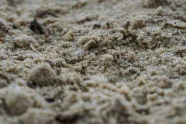 Sunumlar, tasarım ve başlıkları için arka plan renkleri çeşitli. Basit ve doğal. Dokulu görüntü. Doğal desen.