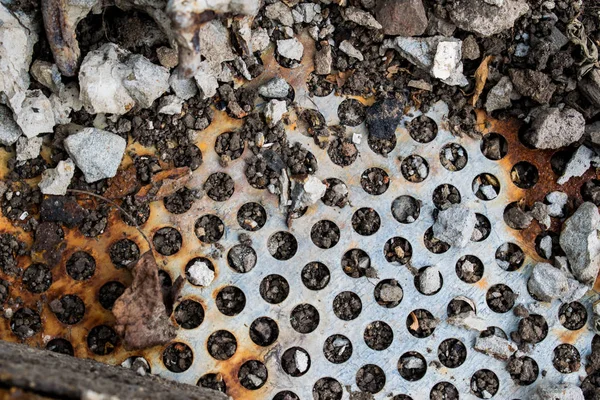 Sunumlar, tasarım ve başlıkları için arka plan renkleri çeşitli. Basit ve doğal. Dokulu görüntü. Doğal desen.