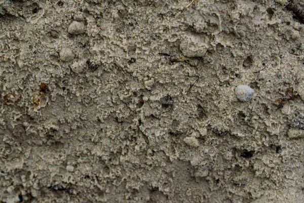 Sunumlar, tasarım ve başlıkları için arka plan renkleri çeşitli. Basit ve doğal. Dokulu görüntü. Doğal desen.