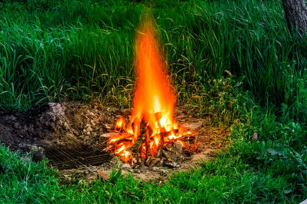 Flaming fire in the summer in nature among the green grass. Small natural phenomenon, natural light, yellow and orange.