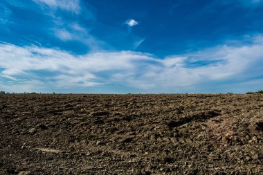 Rusya'nın güzel manzaralar. Rostov bölgesi. Renkli yerler. Yeşil bitki örtüsü ve nehirler ile göl ve bataklık. Orman ve çayır. Yerel harika ve sıradışı sayısı. Yaz ve bahar doğa.