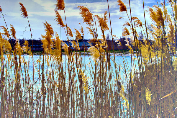 Красивые пейзажи России. Ростовская область. Красочные места. Зеленая растительность и реки с озерами и болотами. Леса и луга. Местные чудесные и необычные виды. Природа летом и весной
.