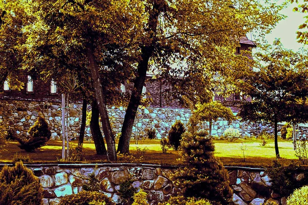 Lindas Paisagens Rússia Região Rostov Lugares Coloridos Vegetação Verde Rios — Fotografia de Stock