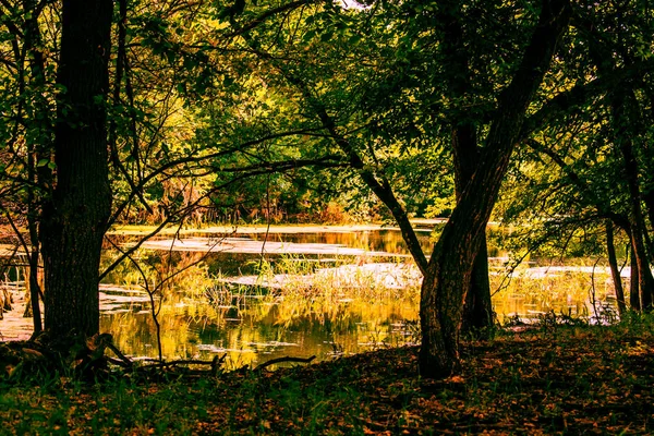 Beaux Paysages Russie Région Rostov Des Endroits Colorés Végétation Verte — Photo