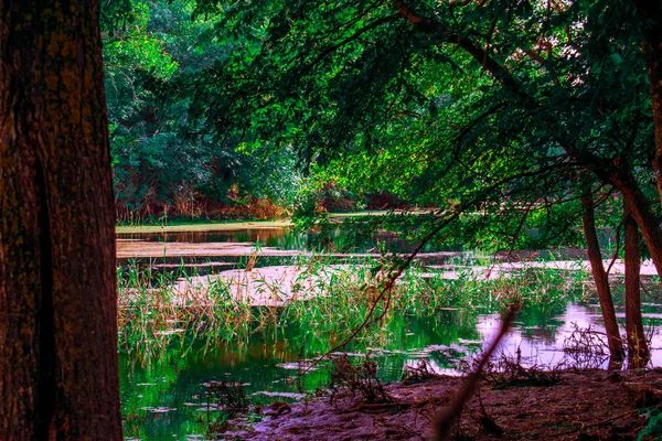 Lindas Paisagens Rússia Região Rostov Lugares Coloridos Vegetação Verde Rios — Fotografia de Stock