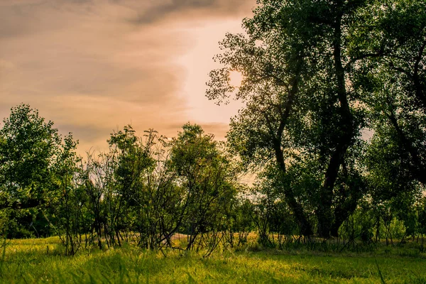 Hermosos Paisajes Rusia Región Rostov Lugares Coloridos Vegetación Verde Ríos — Foto de Stock