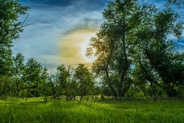 Hermosos Paisajes Rusia Región Rostov Lugares Coloridos Vegetación Verde Ríos — Foto de Stock
