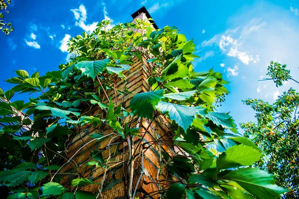 Tour Brique Haute Sur Fond Beau Ciel Bleu Avec Des — Photo