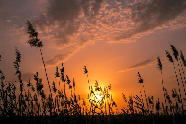 Los Colores Calientes Calientes Los Matices Los Paisajes Hermosos Rusia — Foto de Stock