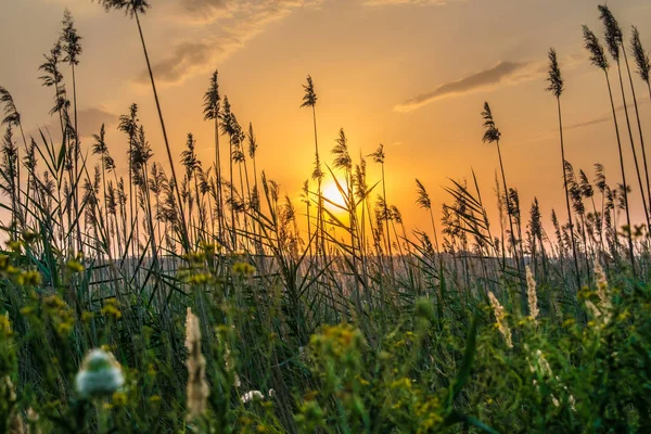 Los Colores Calientes Calientes Los Matices Los Paisajes Hermosos Rusia — Foto de Stock