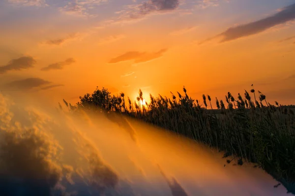 Los Colores Calientes Calientes Los Matices Los Paisajes Hermosos Rusia — Foto de Stock