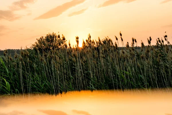 Couleurs Chaudes Chaudes Nuances Beaux Paysages Russie Dans Région Rostov — Photo